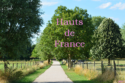 écrivain biographe hauts de france